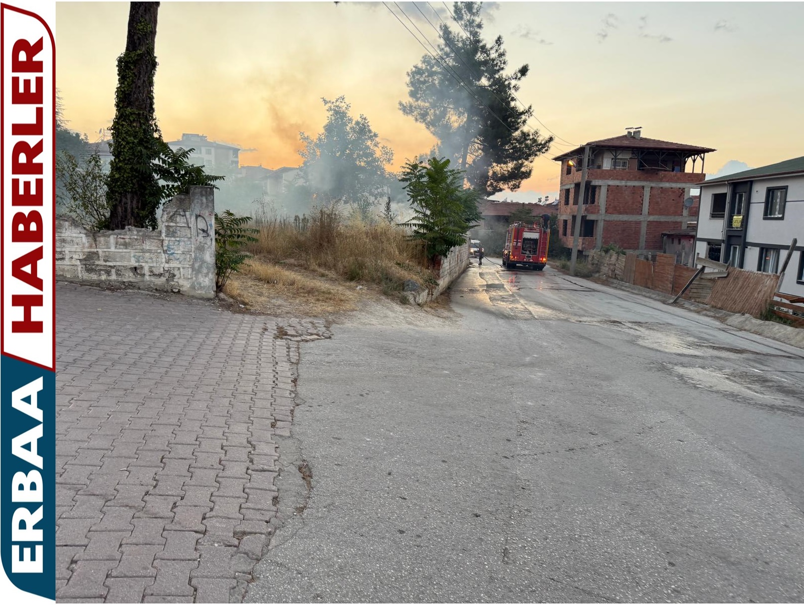 Ağaçlara Sıçrayan Yangın İtfaiye Ekiplerince Söndürüldü.