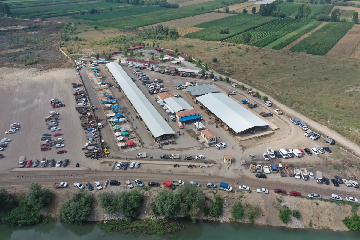 Erbaa'da Hayvan Satış Pazarı Açılıyor.