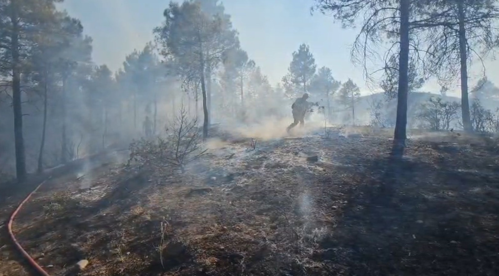 Erbaa Üzümlü Köyü Yakınlarında Orman Yangını.