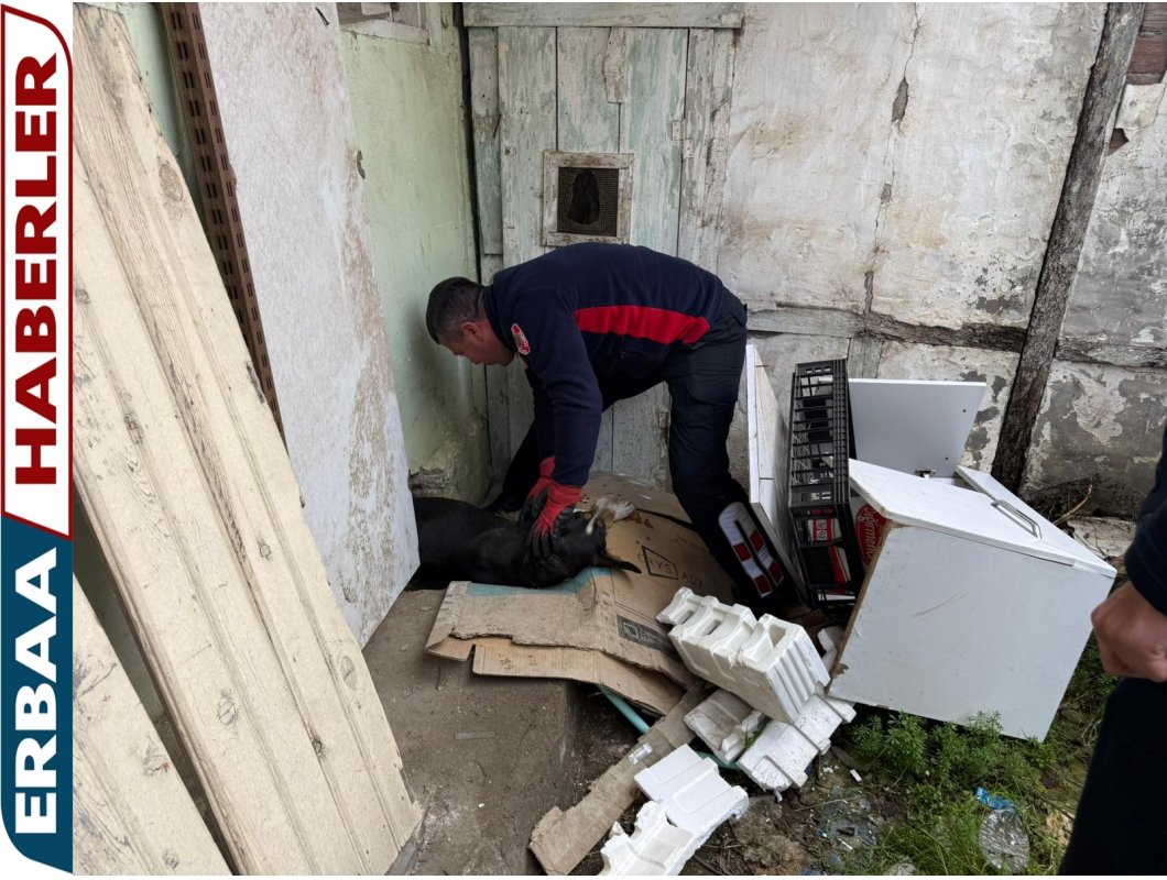 Boş Evden Gelen Ses İtfaiyeyi Harekete Geçirdi.