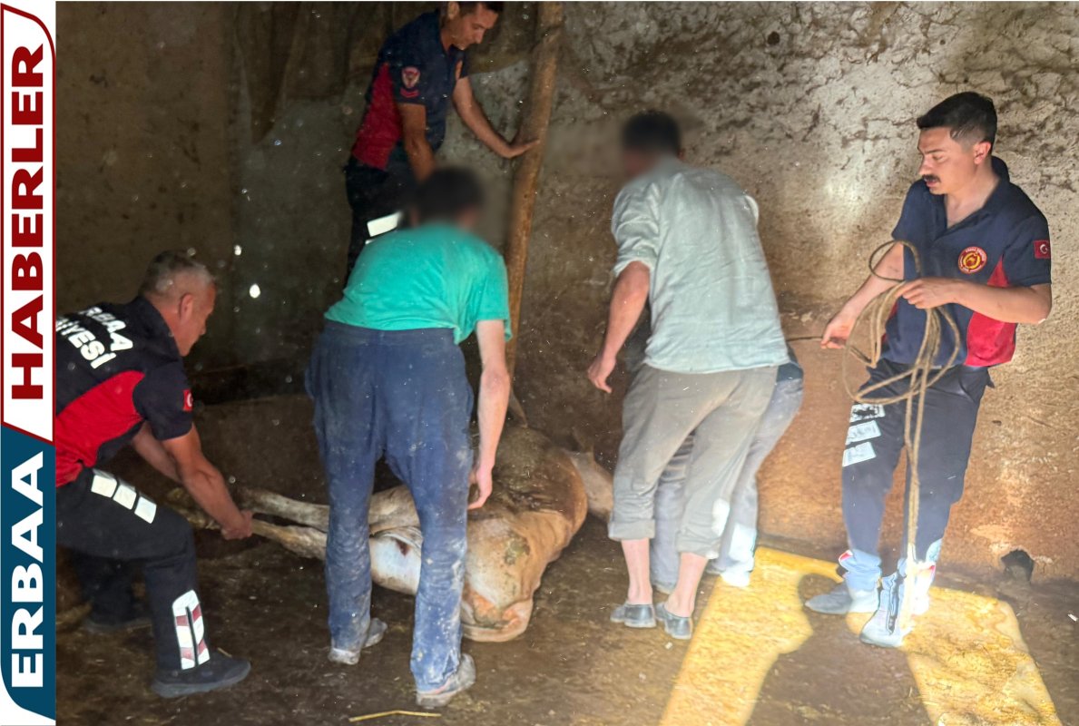 Sıkışan İneğin İmdadına Erbaa İtfaiyesi Yetişti.