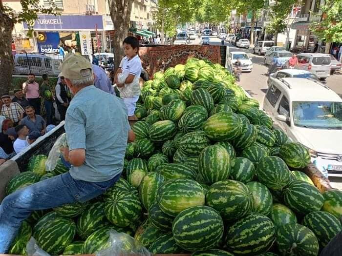 Tokat'ta Bir Üretici 20 Ton Karpuz Dağıttı.